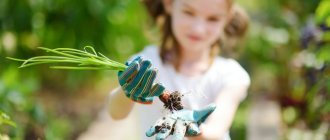 Girl in gloves holding green onions