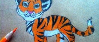 как нарисовать тигра карандашом поэтапно для детей 3