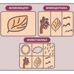 Mnemonic square, mnemonic track and mnemonic table