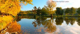 Poems about autumn for a reading competition for grades 4-5